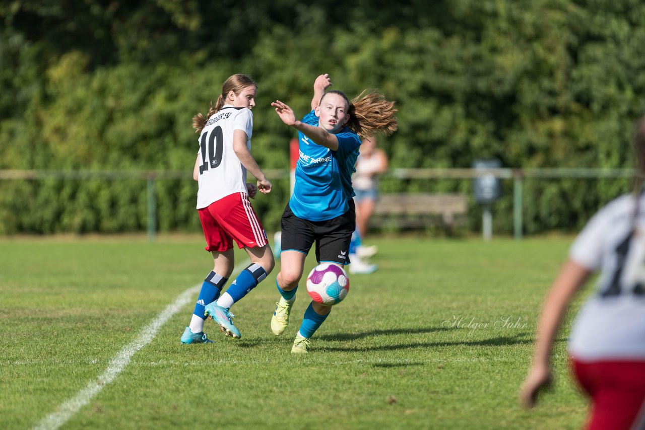 Bild 112 - wBJ VfL Pinneberg - Hamburger SV 2 : Ergebnis: 1:3